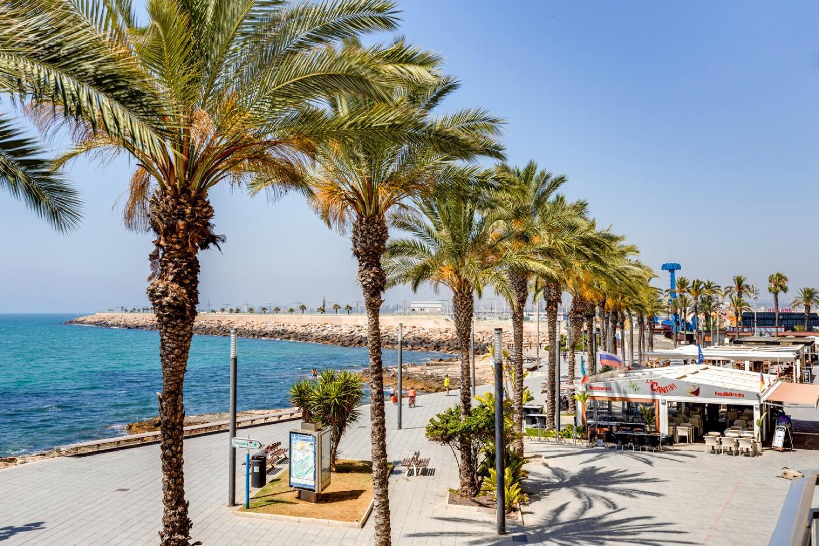 Apartment Near Beach, Playa Del Cura Torrevieja Zewnętrze zdjęcie